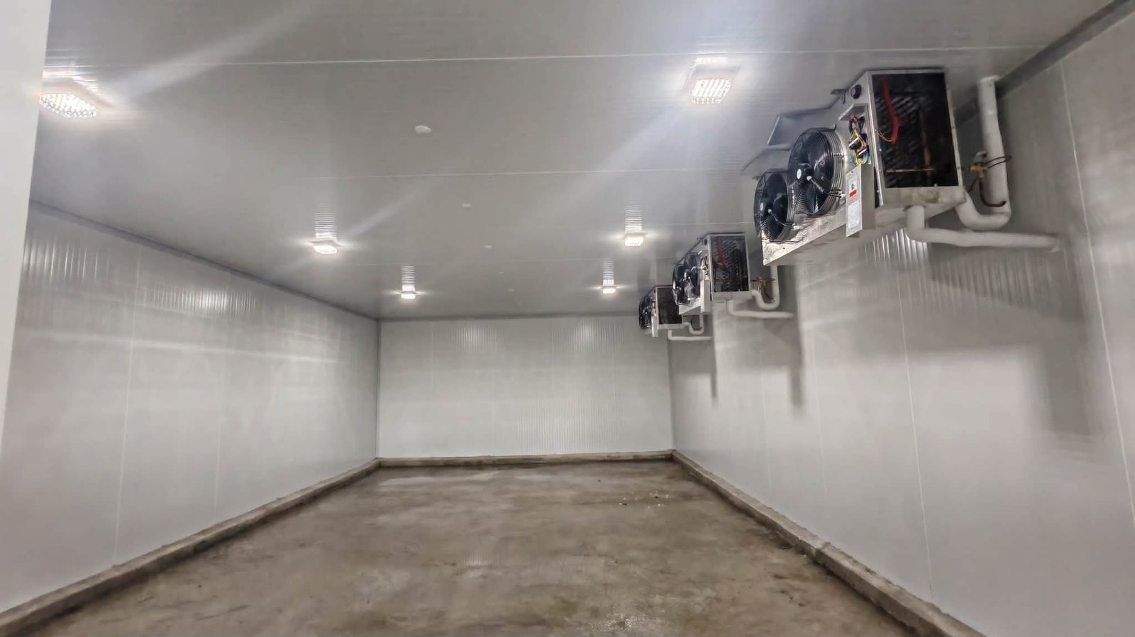 Empty cold storage room ready for stock at NE Meats